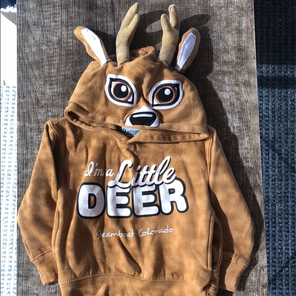 Artisan Other - 2T | Hoodie | Steamboat CO | Little Deer